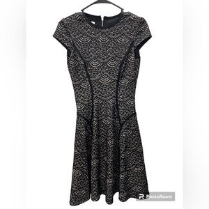 Maggy London Lace Fit & Flare Midi Dress Black & Beige Size 2